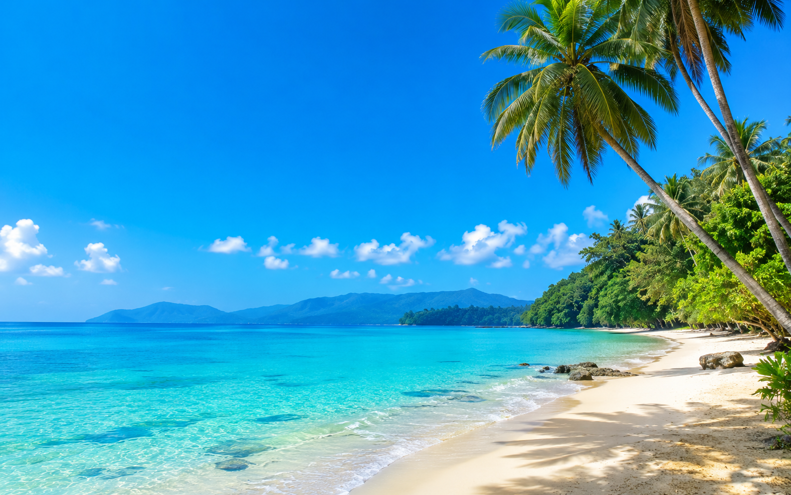 Top 7 beaches in the Andamans